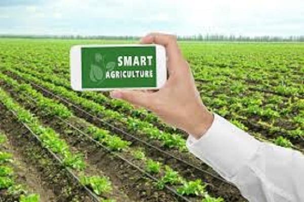 Secha Capital Takes A Bet on FarmTrace, A Locally Developed AgriTech Farm Solution farming