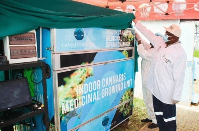 Premier Makhura Promotes High-End Cannabis Factory cannabis