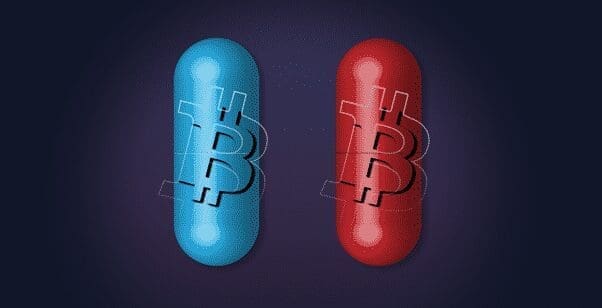 Crypto in 2022: From crypto adoption outpacing the internet, to which sectors are worth watching out for and everything in between Crypto
