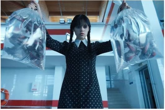 Is The Gruesome Fun In Netflix’s ‘Wednesday’ Realistic? Netflix Wednesday