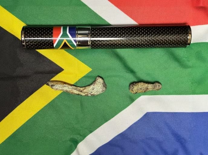 South African Hominin Fossils Were Sent Into Space And Scientists Are Enraged Fossils