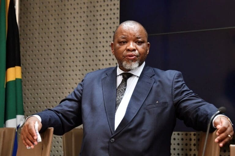 Minister Nobuhle Nkabane Withdraws SETA Appointments Under Barrage Of Criticism Gwede Mantashe.