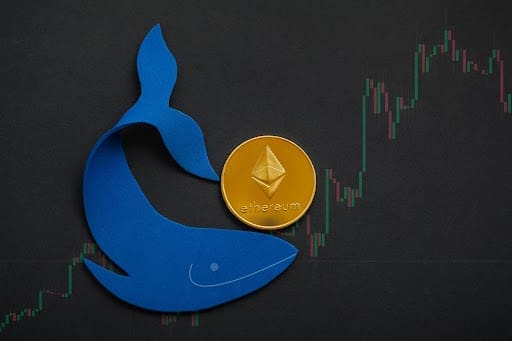 Digitap Emerges as a Top Pick for Crypto Whales as They Look Beyond Ethereum and Solana, Here’s Why Ethereum whale