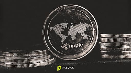 Expert Who Predicted XRP Price Rise From $0.6 To $3.6 Says This Hidden Altcoin Will Rise From $0.015 To $16 In 3 Weeks Paydax