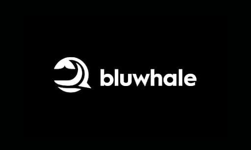 Bluwhale Launches Stablecoin Agent For Wealth Growth Amidst Market Volatility bluwhale