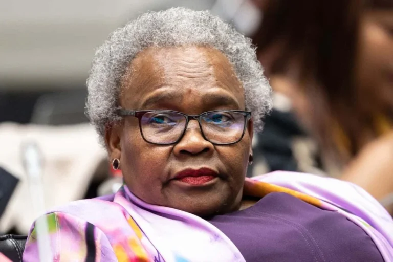 Minister of Social Development, Sisisi Tolashe