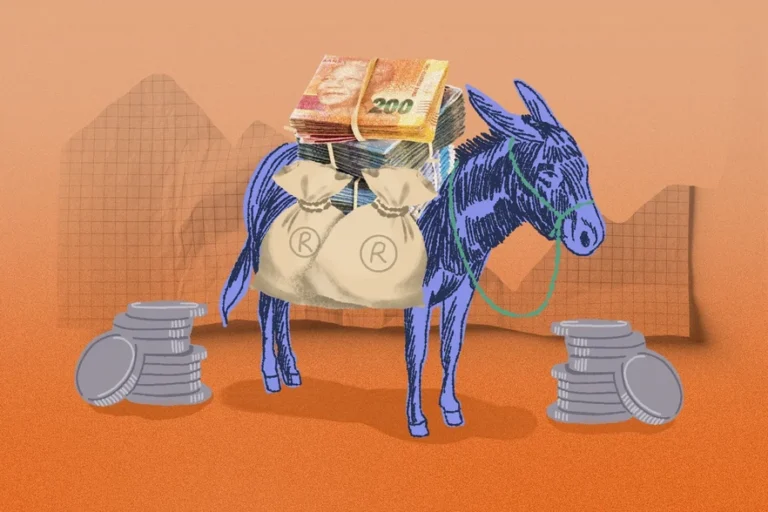 The Story Of A Money Mule, And How She Helped The R511 Million Morita Scam money mule