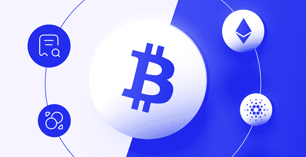 Crypto’s Winning Formula: It’s About Investing In Sectors, Not Coins Bitcoins