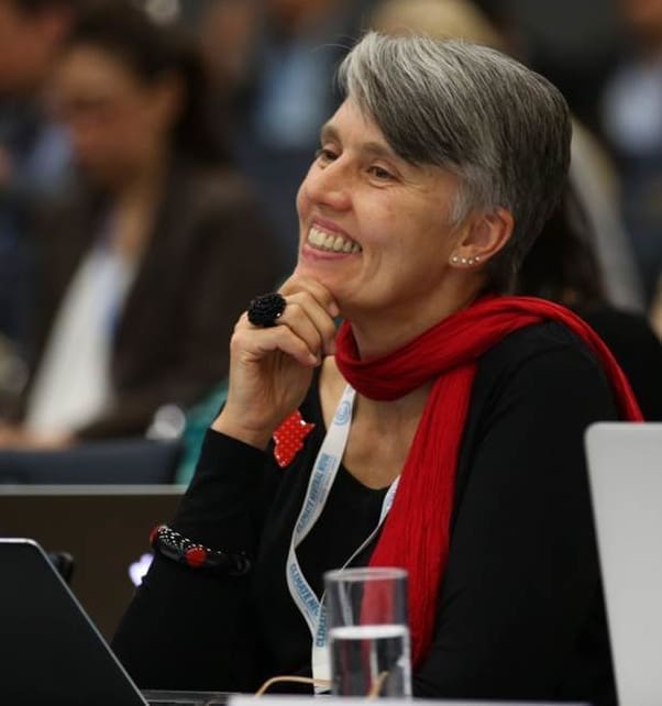 South African Scientist Hopes To Head World’s Most Important Climate Change Body debra_roberts